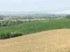 Pari Vicinity