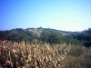 Pari Vicinity