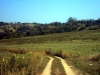 Pari Vicinity
